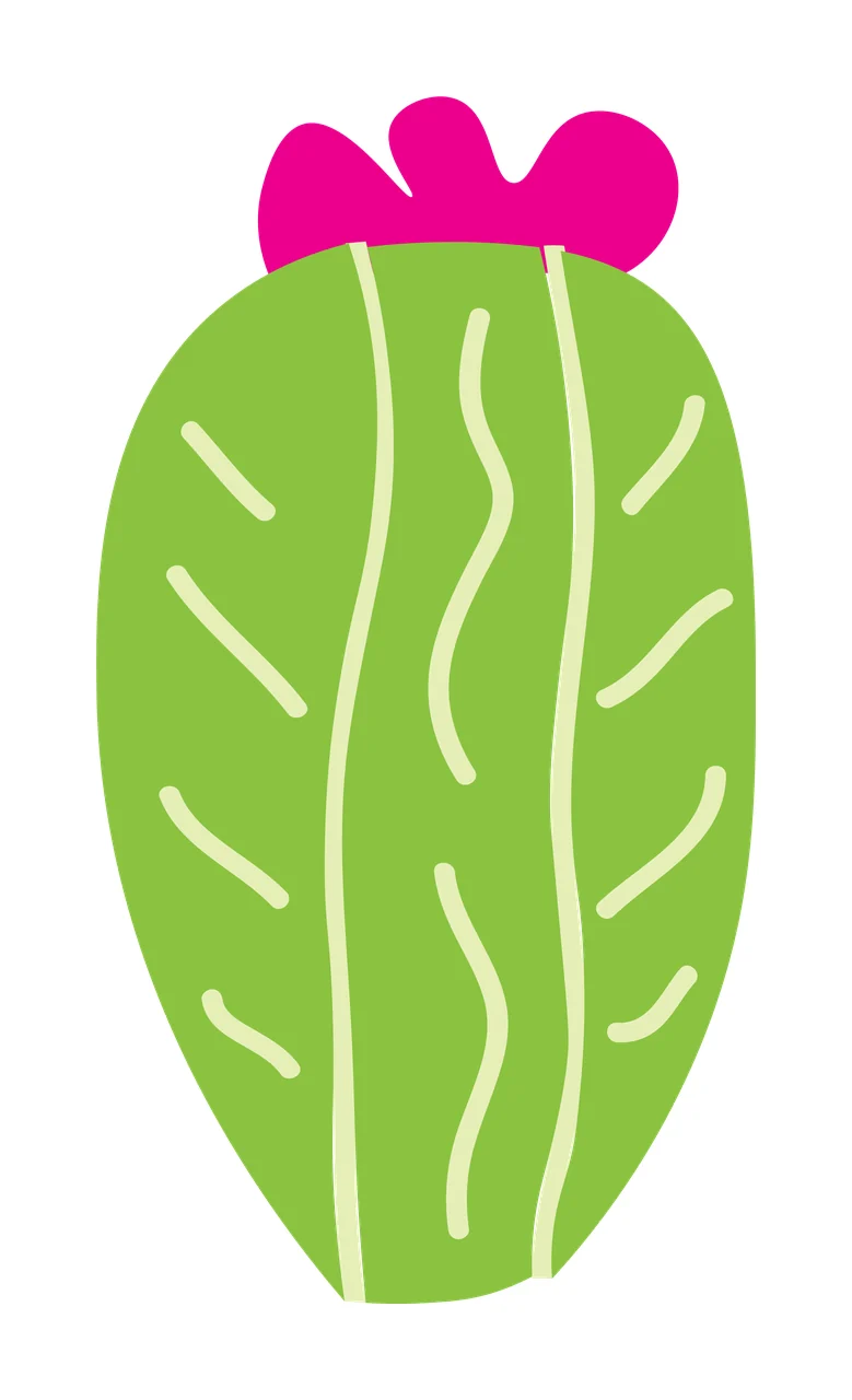 Flat Cartoon Illustration of Cactus with pink flower with green cactus body, pink flower top, white vertical ridges and white diagonal spines