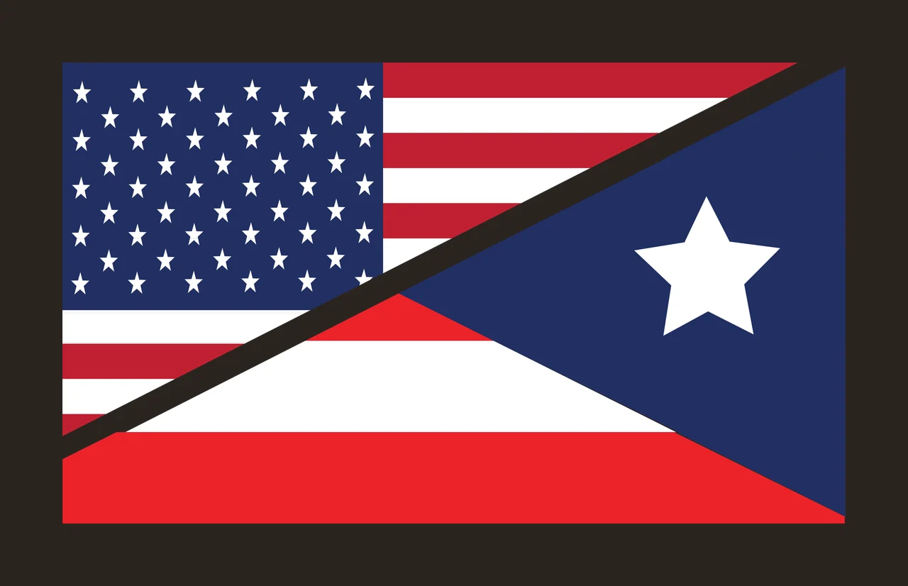 Black And White Split Flag Graphic illustration stars stripes contrast preview thumbnail