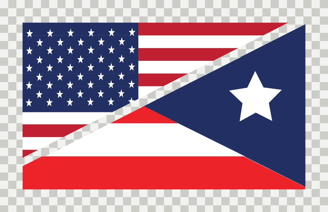 Black And White Split Flag Graphic illustration stars stripes transparency and detail preview thumbnail