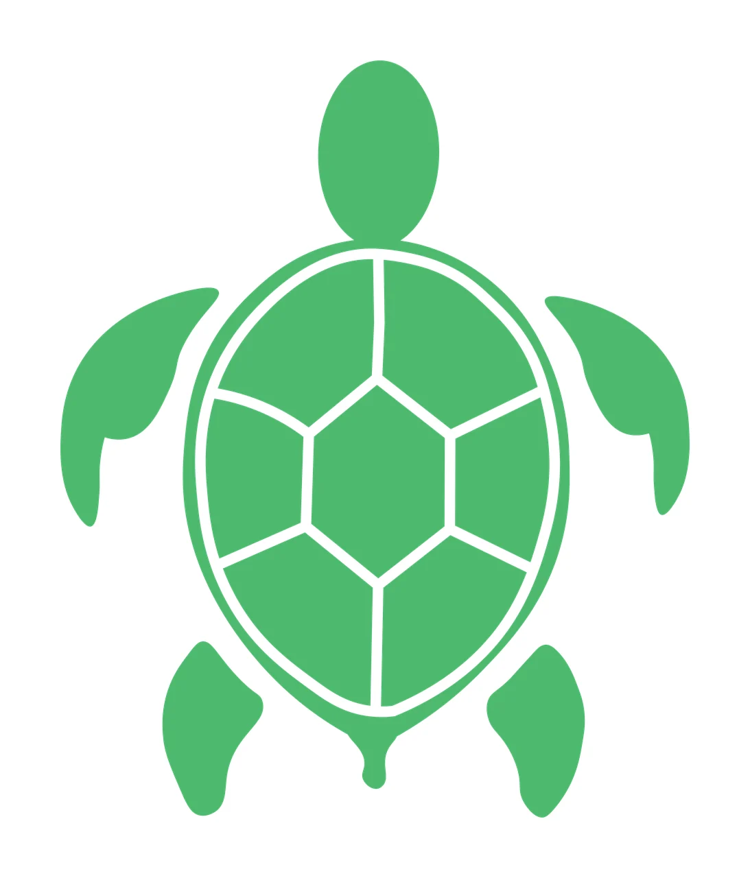 Sea turtle Illustration with segmented shell, front flippers, rear flippers and head in green and white