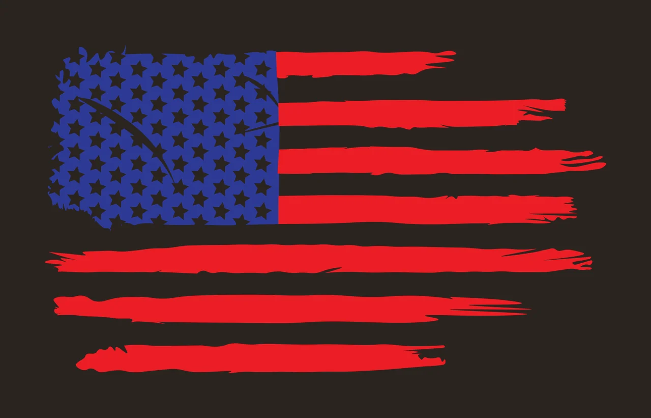 Flag Black And White American Graphic pattern stars stripes contrast preview thumbnail