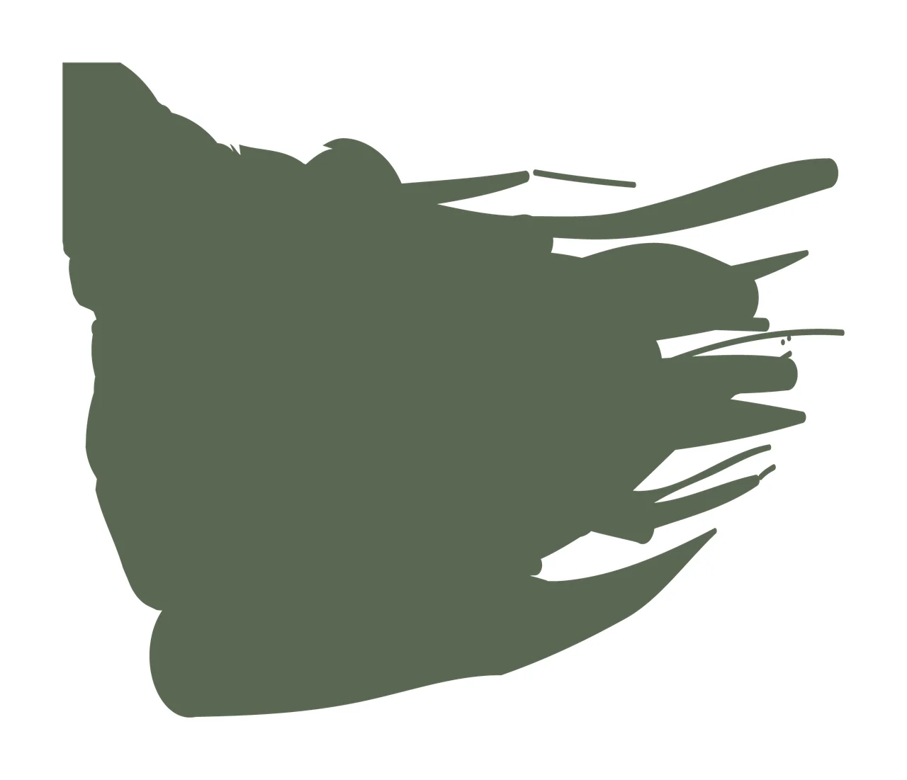 Paint Brush Black Horizontal Stroke Mark smearing texture tapered ends