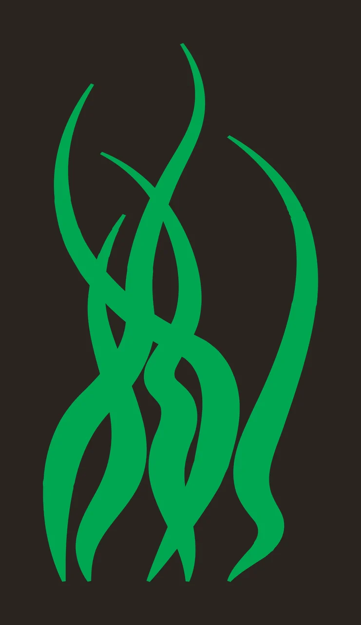 Silhouette Design of Seaweed with fronds, leaves, kelp and plant in green and white contrast preview thumbnail