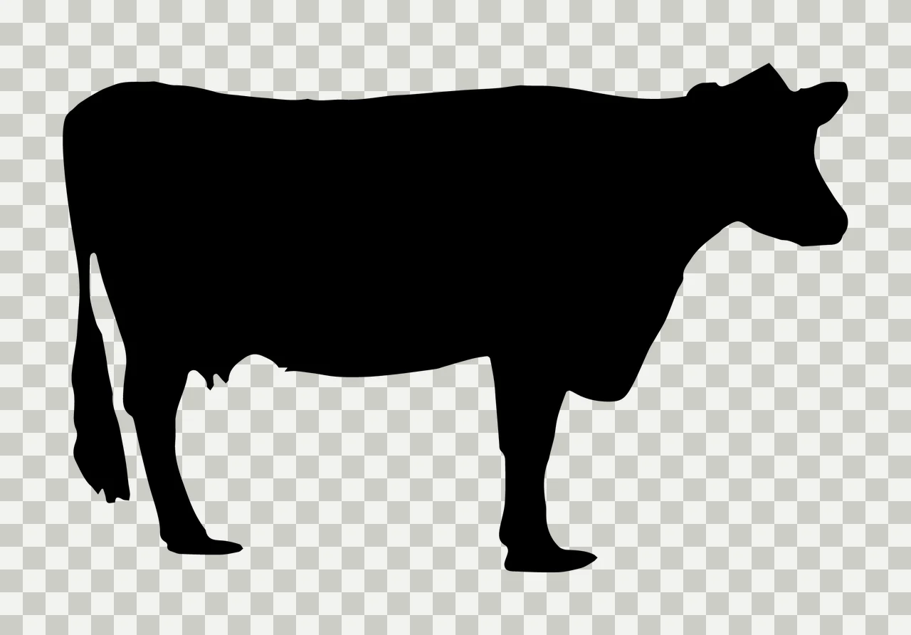 Cow Black Silhouette Of A Farm Standing solid white animal transparency and detail preview thumbnail