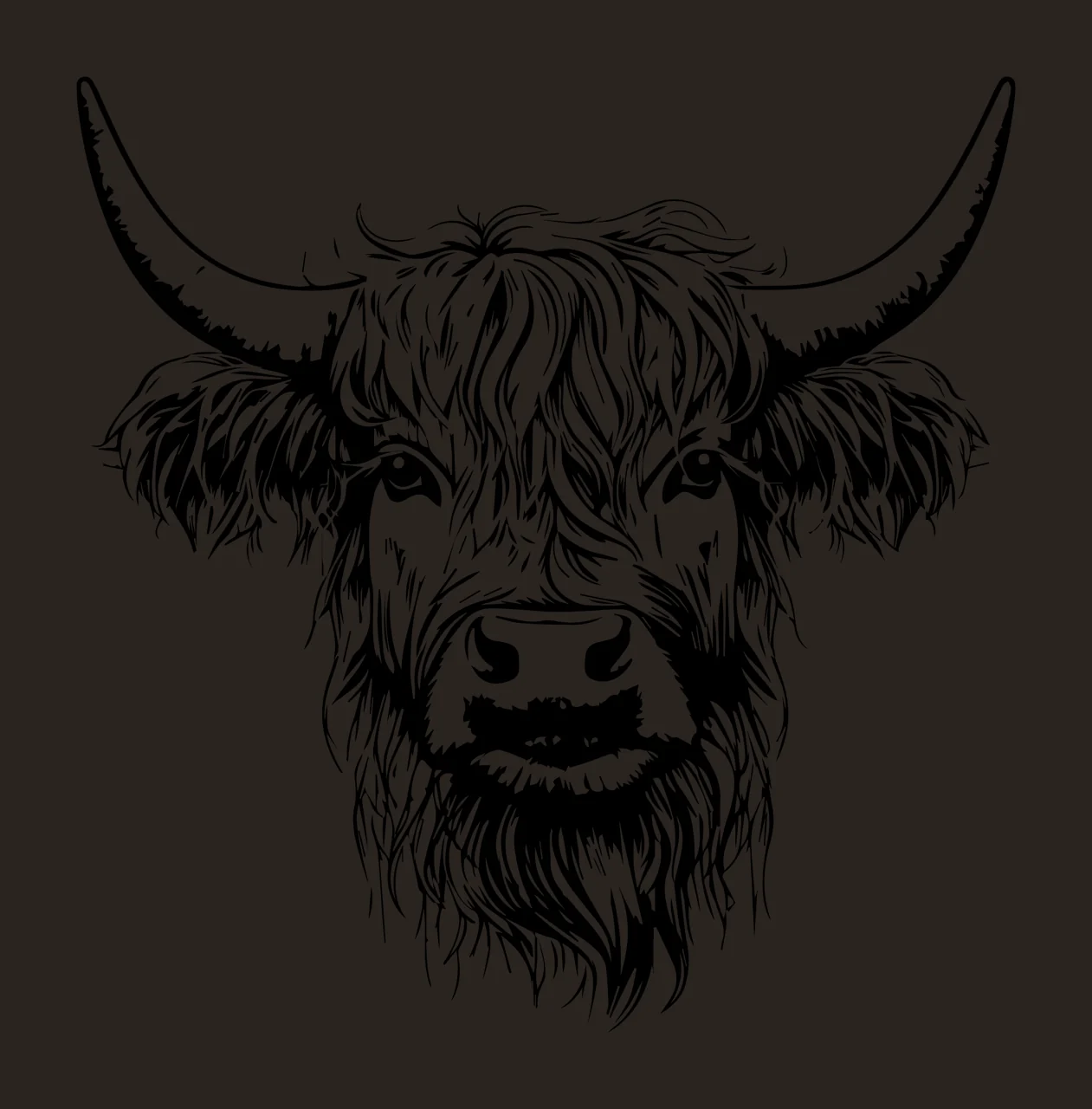 Highland Cow Head Front View facing forward horns shaggy fur contrast preview thumbnail