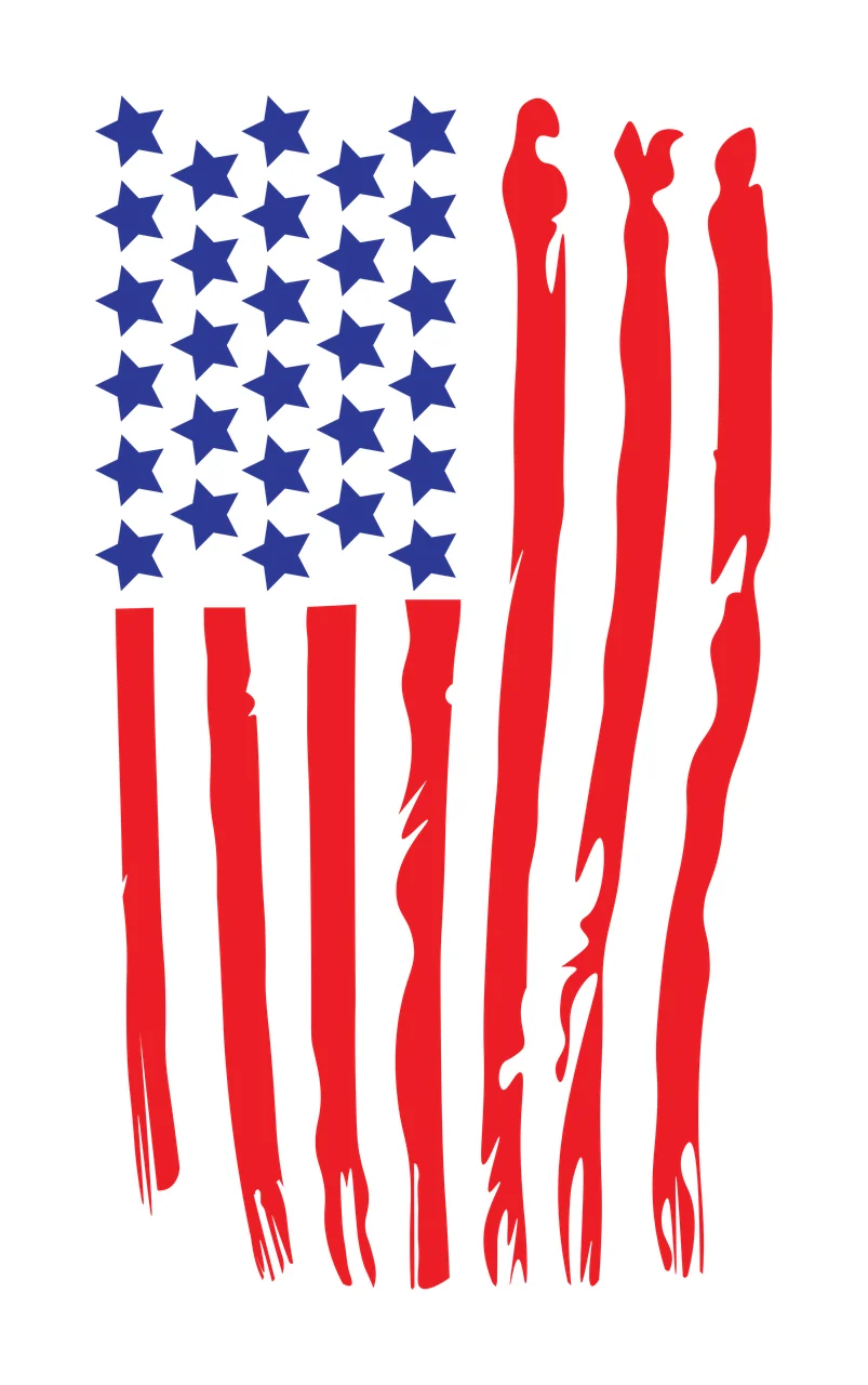 Flag Vertical Distressed American Silhouette hanging stars