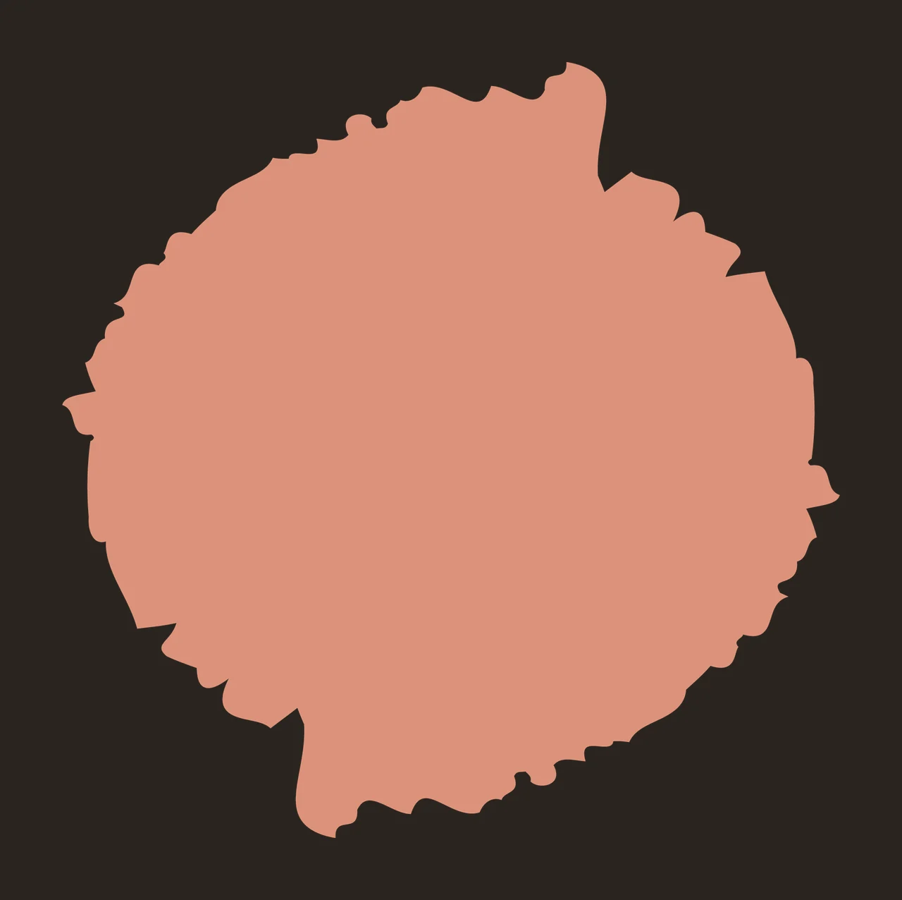 Brush Rough Circle Black Shape white texture silhouette abstract contrast preview thumbnail