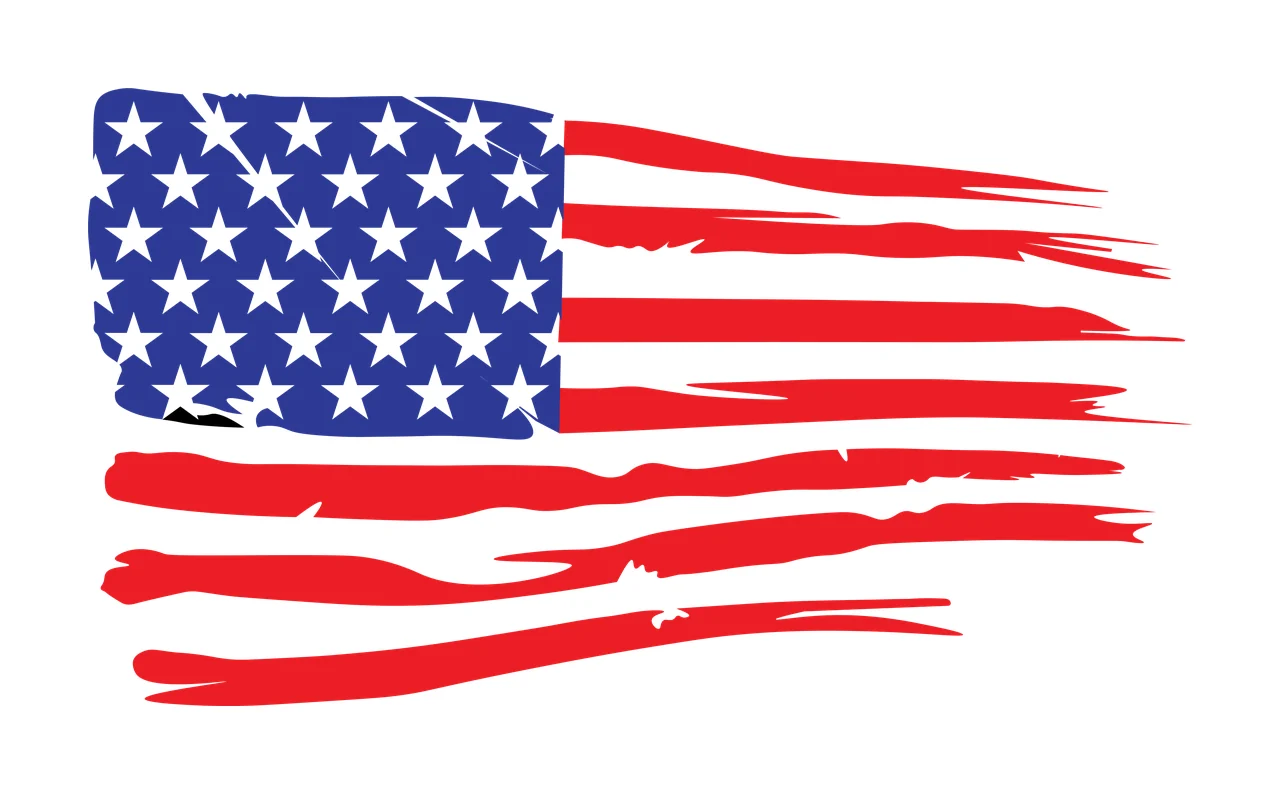 Flag Black And White Distressed Graphic stars stripes plain