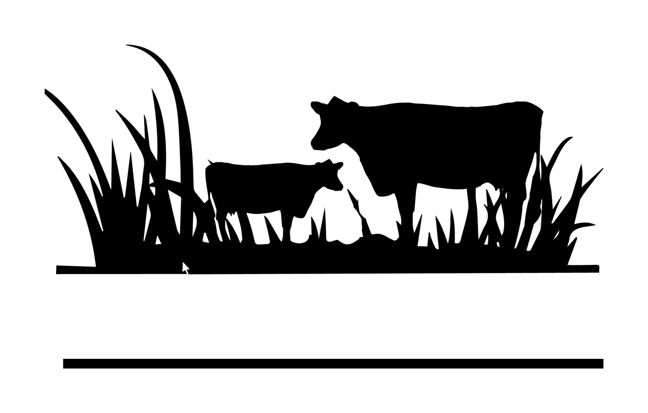 Can Glass Wrap Cows In Tall Grass Split