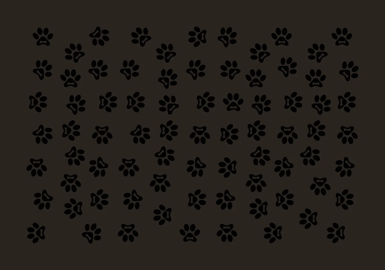 Dog paw prints with bones Illustration with bone shapes, pads and toes in black and white contrast preview thumbnail