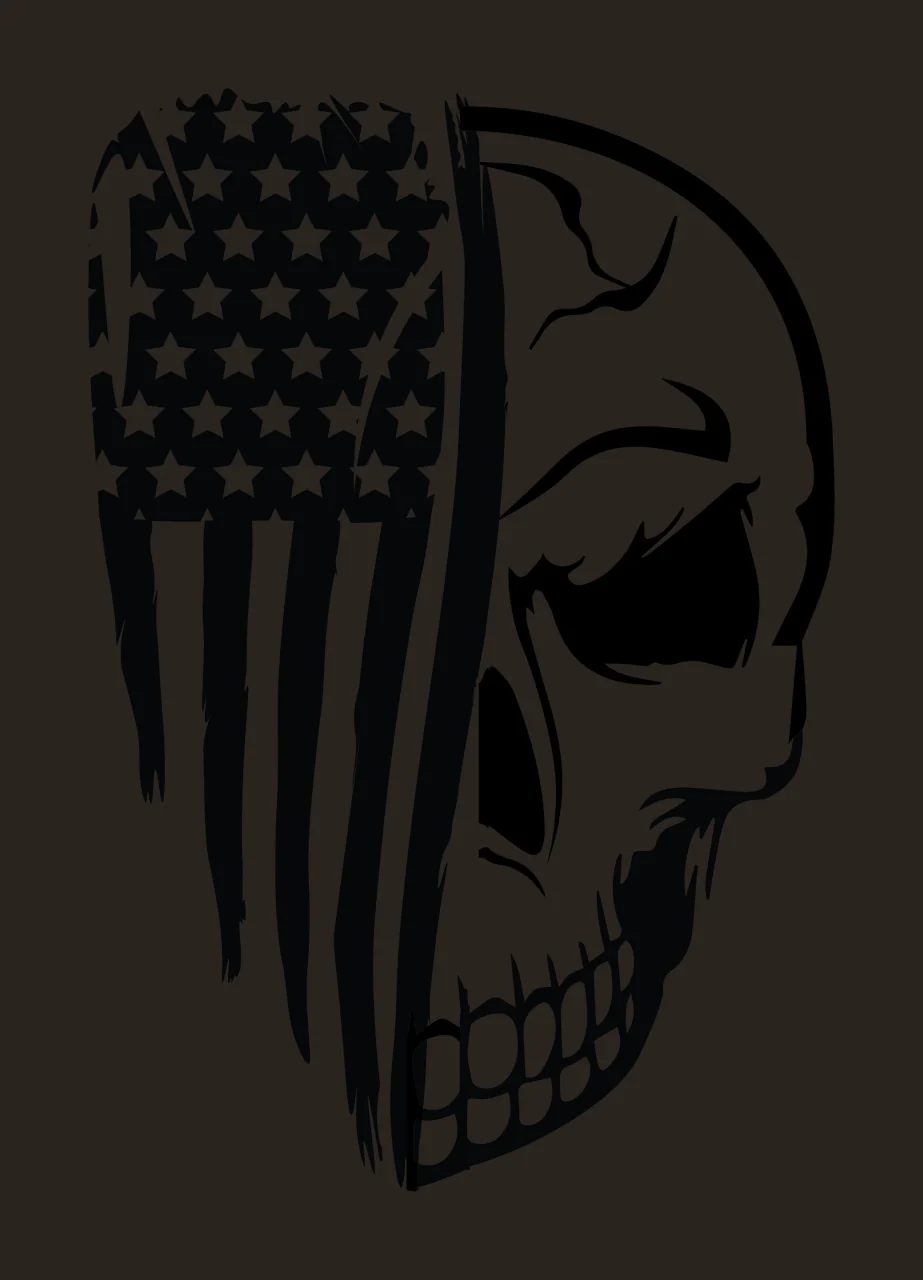 Skull American Flag Profile Graphic stars stripes illustrative contrast preview thumbnail