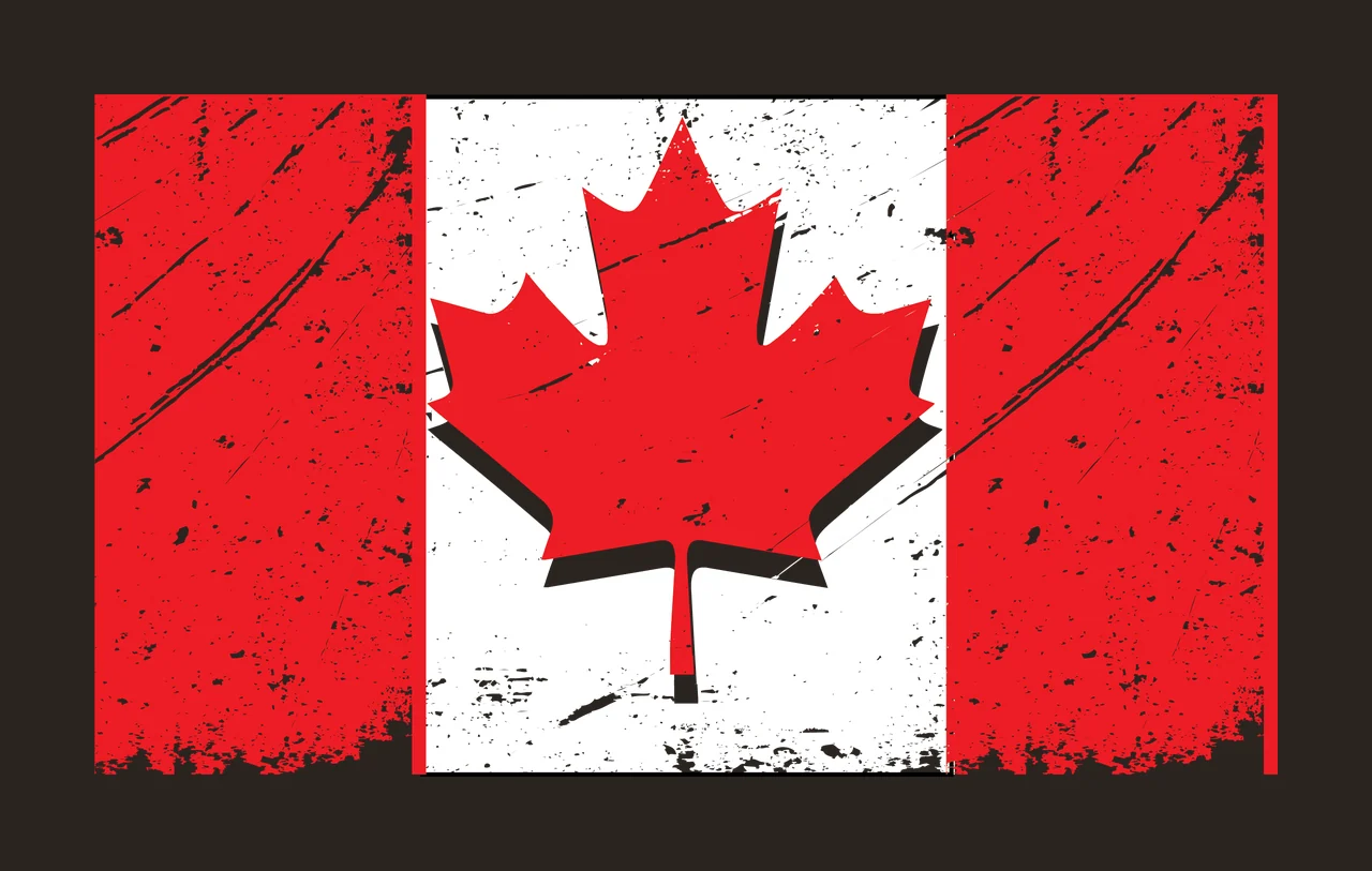 Maple Leaf Grunge Design Element black nature texture symbol contrast preview thumbnail