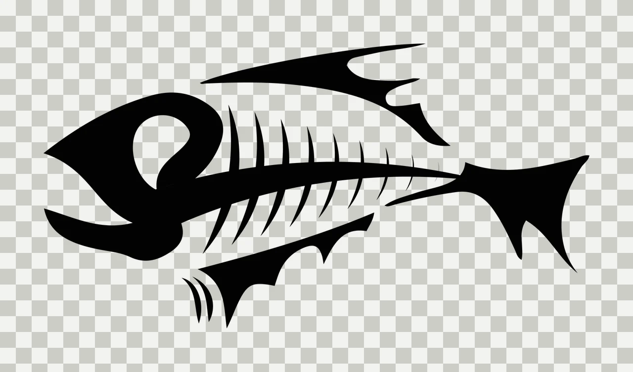 Bones Stylized Black And White Fish Skeleton Silhouette Floating transparency and detail preview thumbnail