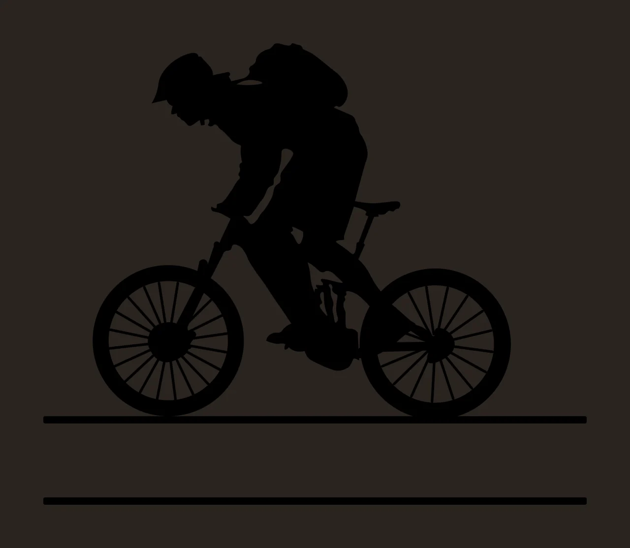 Mountain Bike Biker Silhouette Riding Above Two Parallel horizontal contrast preview thumbnail