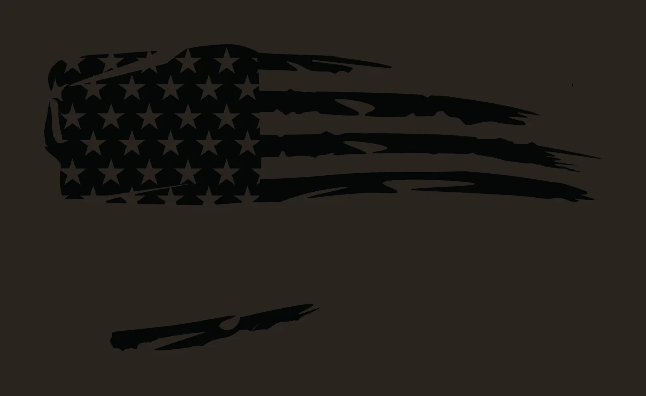 Flag American With Horizontal Brush Strokes stars stripes black contrast preview thumbnail