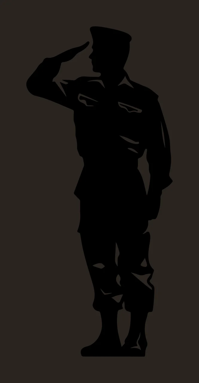 Full Body Silhouette Of An Individual In Military person saluting contrast preview thumbnail
