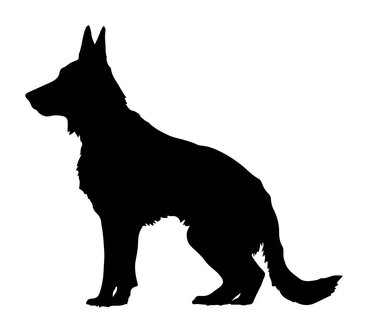Dog Black Silhouette Of A Standing Facing white canine animal