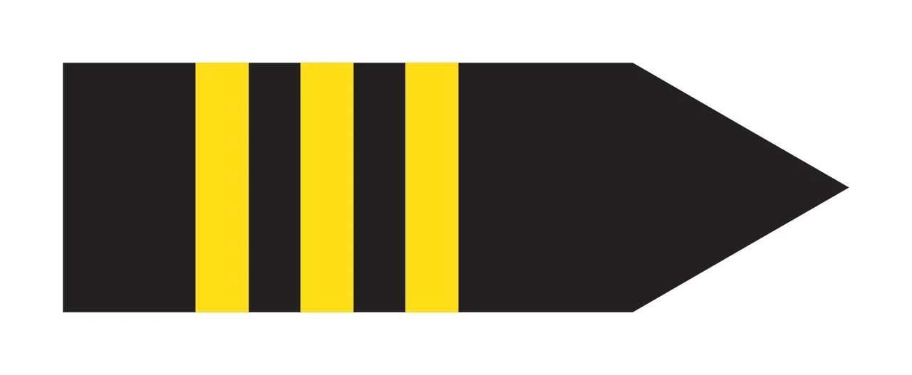 Solid Black Rectangle Shape With A Pointed Triangular arrow