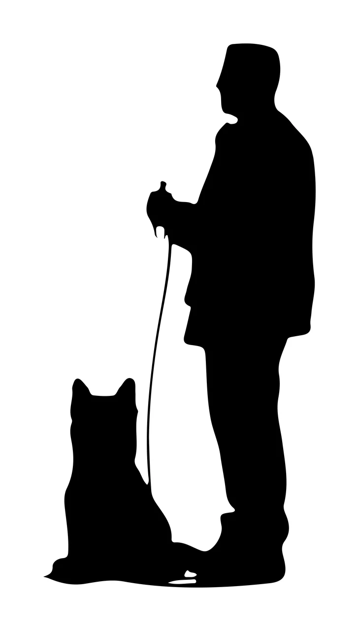 Dog Silhouette Of A Standing Person Holding Leash and black