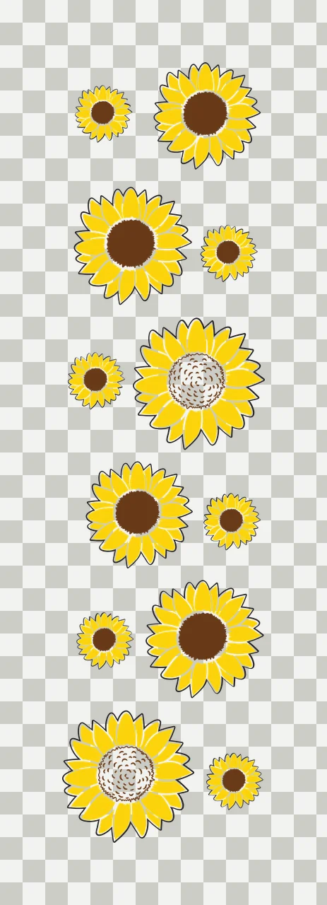 Sunflower heads Illustration with yellow petals, brown seed centers, black outlines and flower blossoms in white transparency and detail preview thumbnail