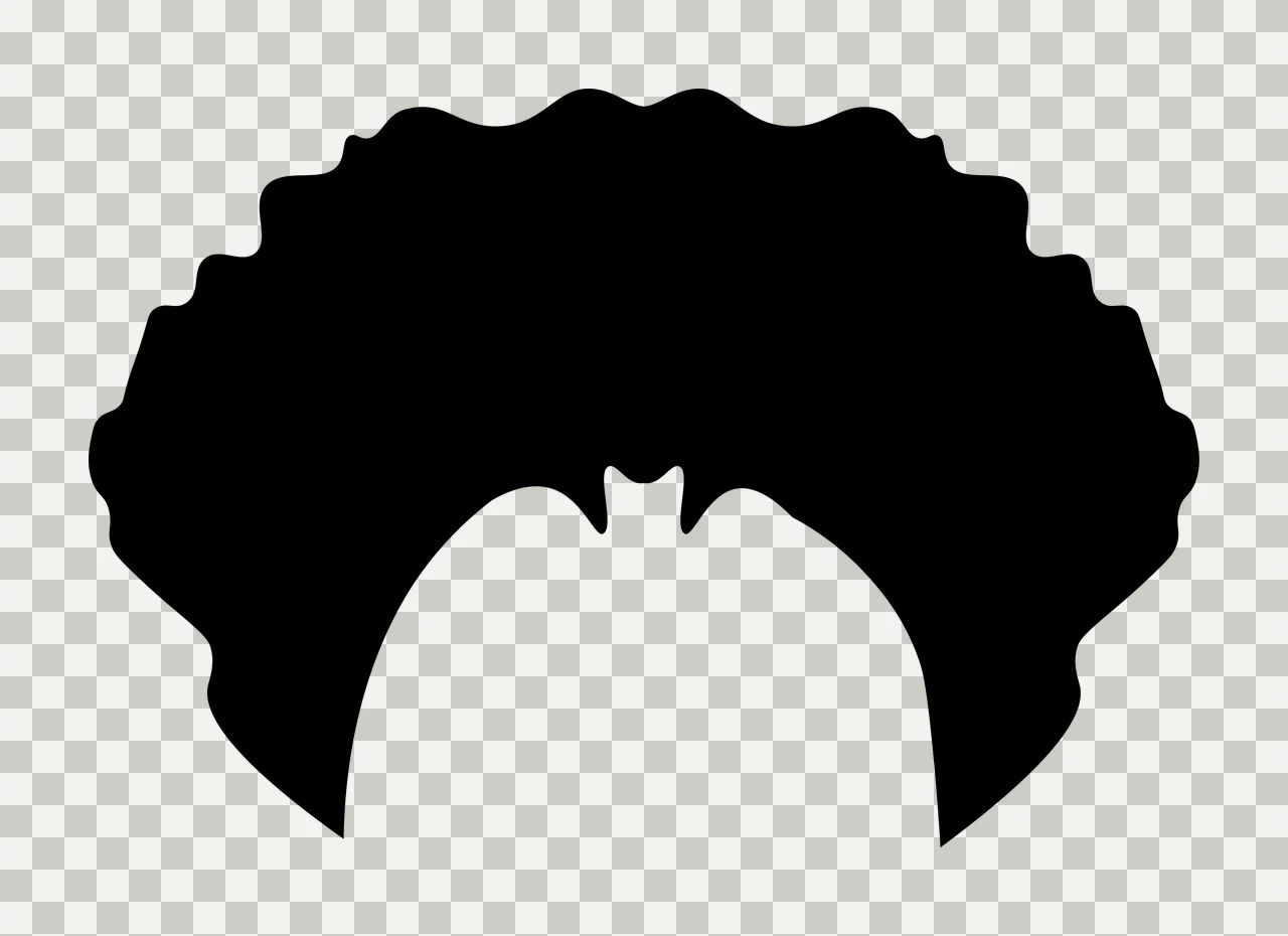 Black Silhouette Of A Round Wavy Edged Hairdo hair curved white transparency and detail preview thumbnail