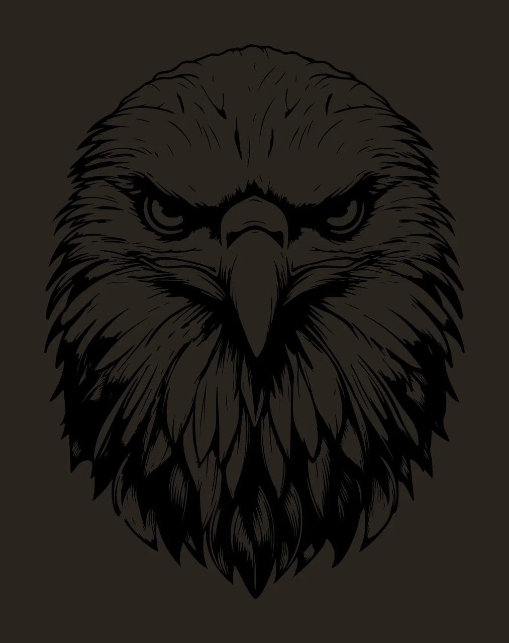 Eagle Bald Head Close Up focused feathers beak line drawing contrast preview thumbnail