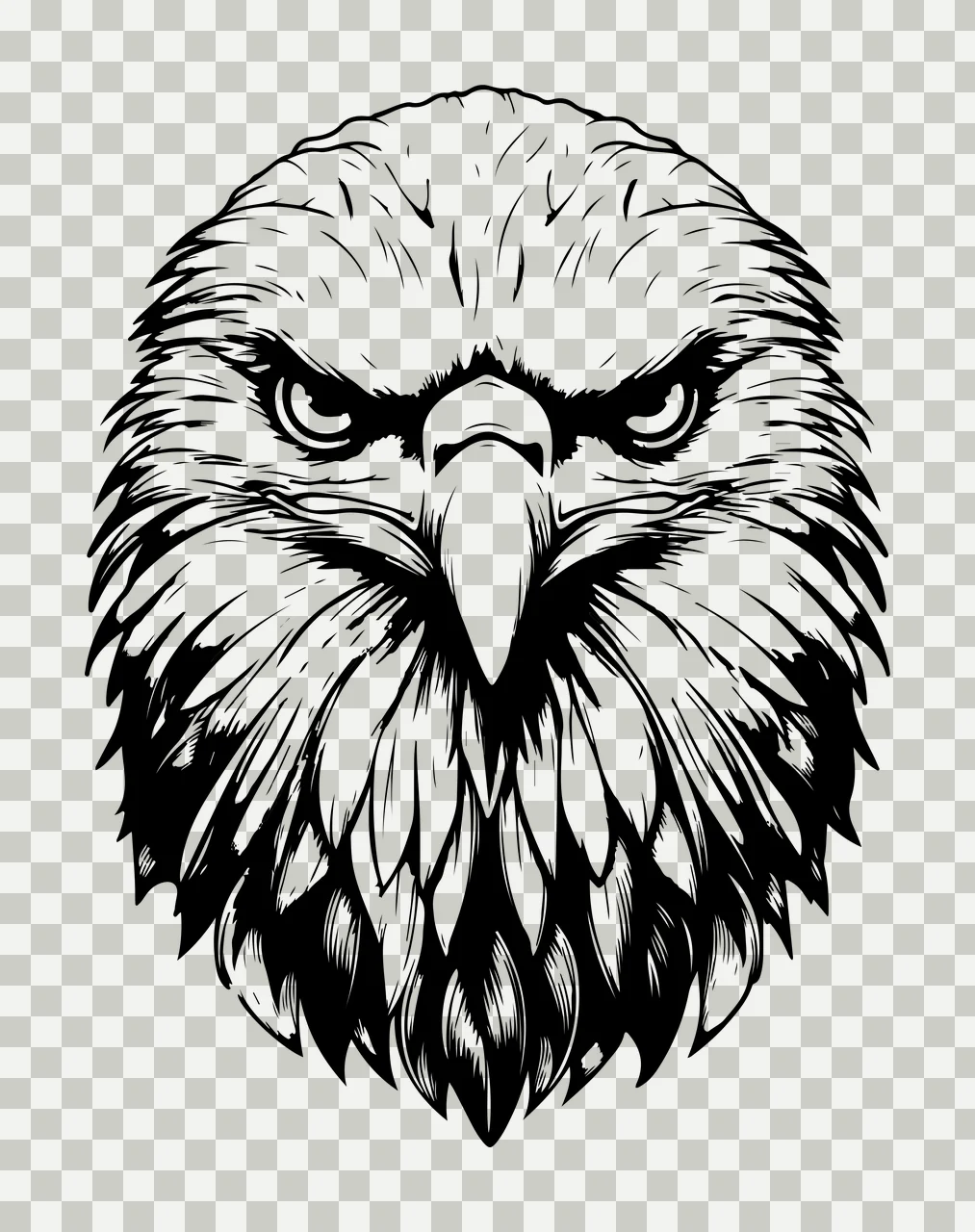 Eagle Bald Head Close Up focused feathers beak line drawing transparency and detail preview thumbnail