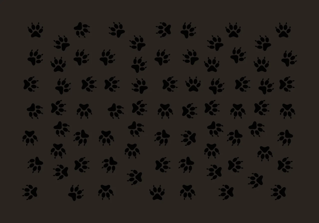 Animal paw prints Illustration with claws, pads and toes in black and white contrast preview thumbnail