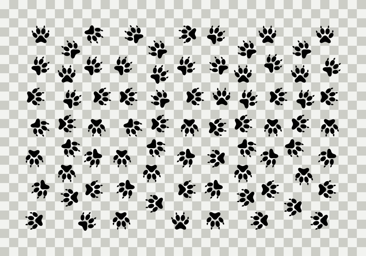 Animal paw prints Illustration with claws, pads and toes in black and white transparency and detail preview thumbnail