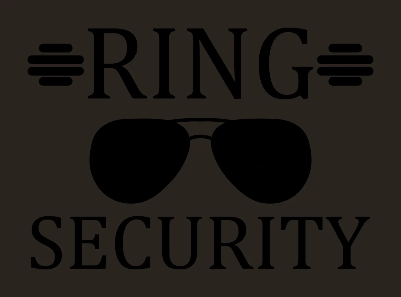 Ring Security Sunglasses Text Graphic bars minimalist black contrast preview thumbnail