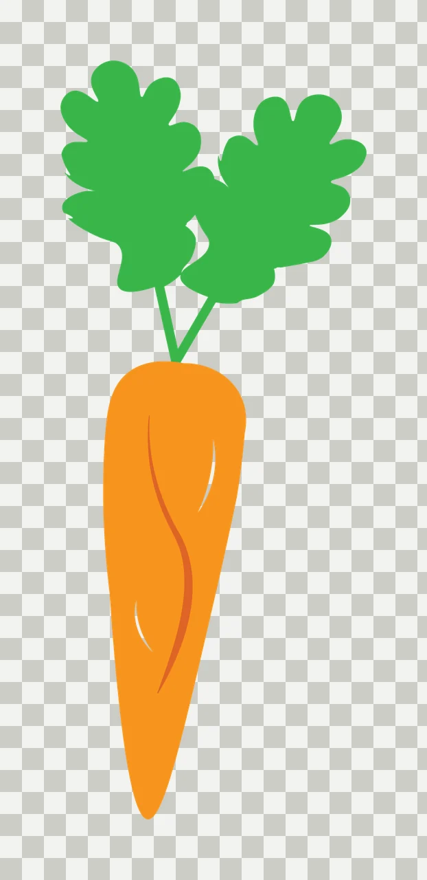 Carrot Illustration with orange taproot, green leafy top, stem and white highlights transparency and detail preview thumbnail