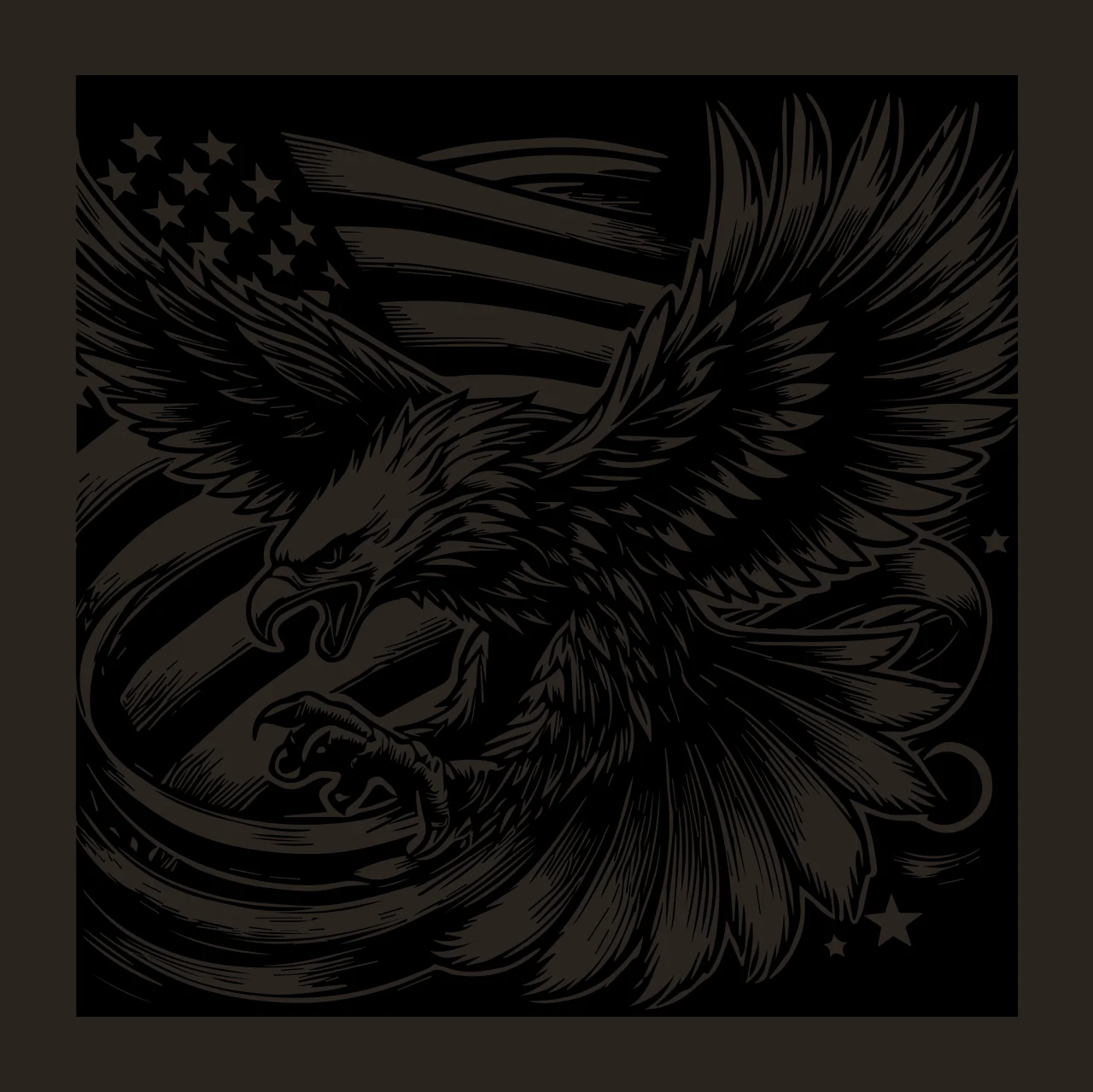 Eagle Flag In Flight flying stars engraving black white bird contrast preview thumbnail