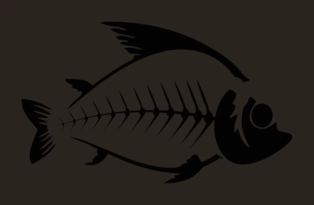 Bones Black Silhouette Of A Fish Showing Internal outline spine contrast preview thumbnail