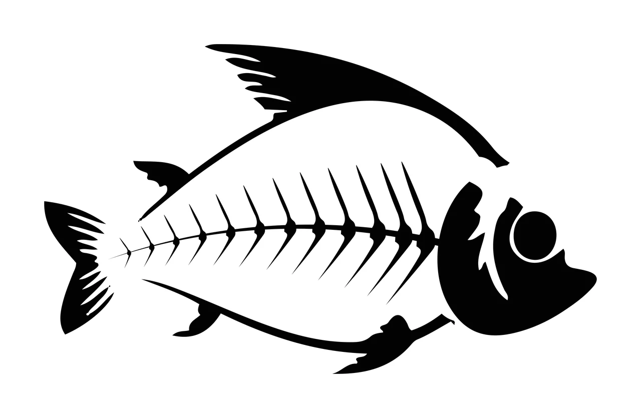 Bones Black Silhouette Of A Fish Showing Internal outline spine
