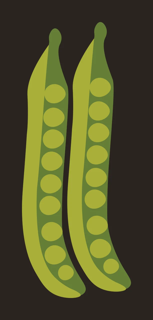 Pea pods Illustration with peas, seeds and shells in light green, olive green and dark green contrast preview thumbnail