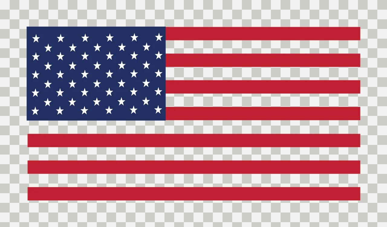 Flag Black Silhouette Of American Without Visible Star rectangle transparency and detail preview thumbnail