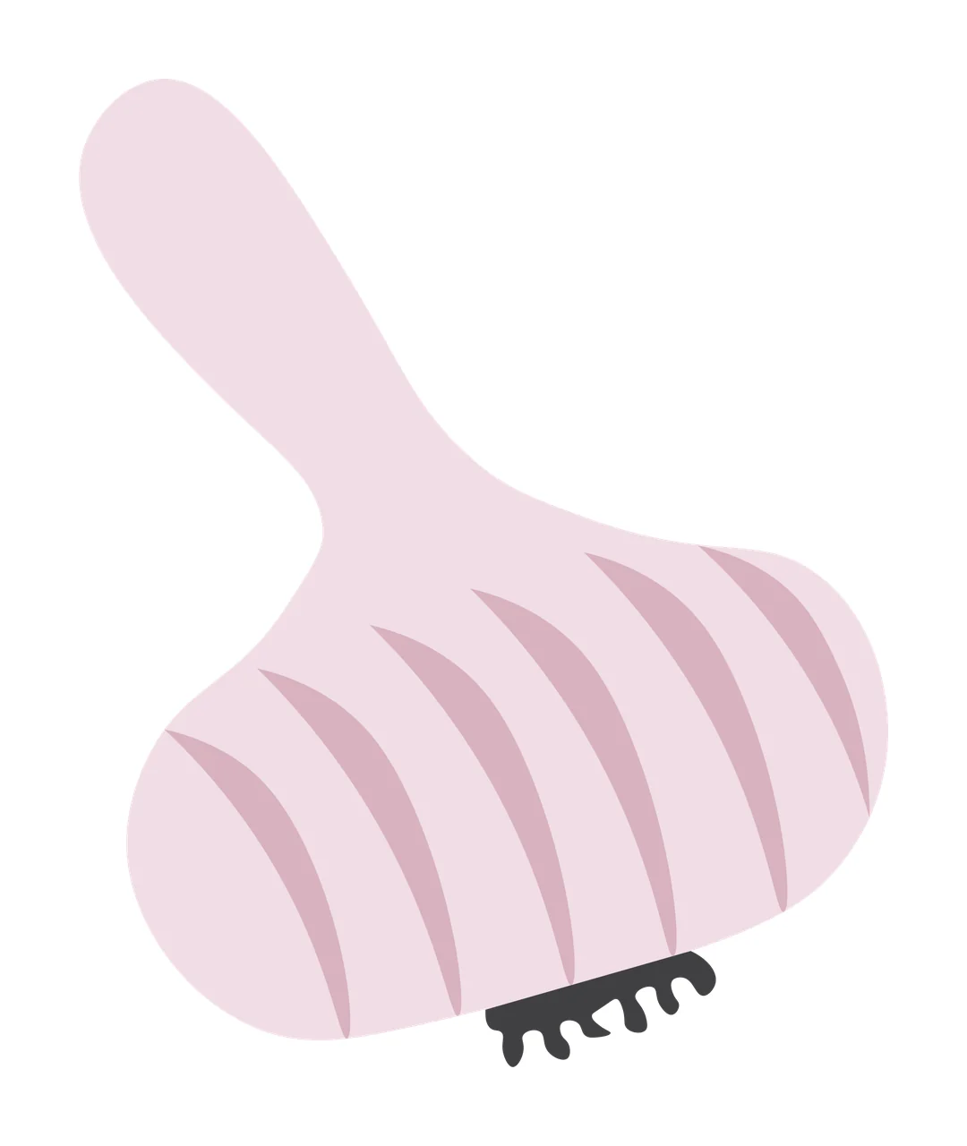 Garlic bulb Illustration with stem, roots and clove lines in pink, dusty rose and grey