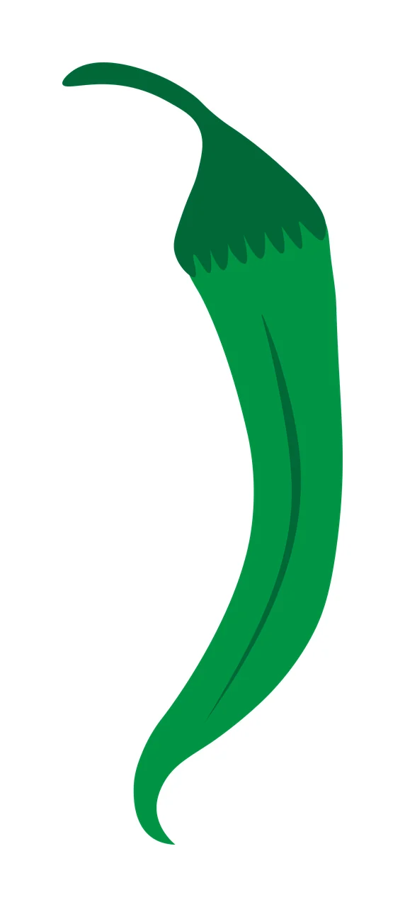 Green chili pepper Illustration with stem, calyx and curved pepper body in dark green and white