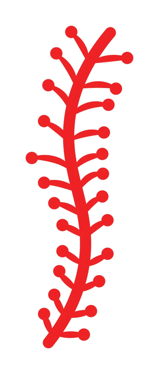 Vertical Plant Stem Silhouette With Circular Buds leaves black