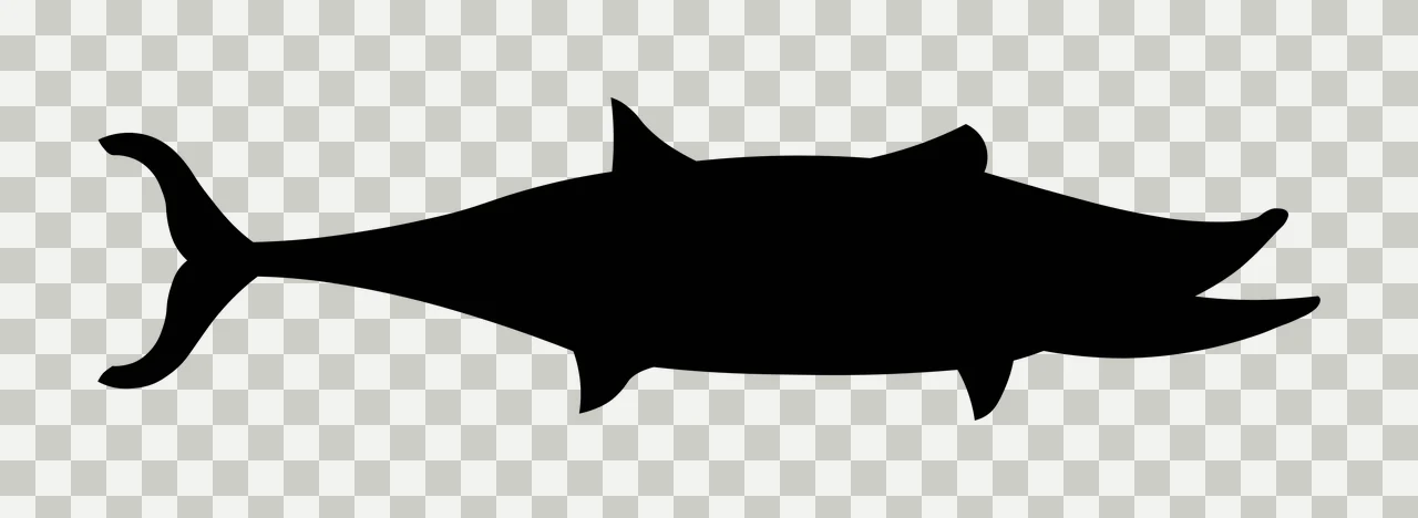 Black Fish Silhouette Side View swimming fins tail marine animal transparency and detail preview thumbnail
