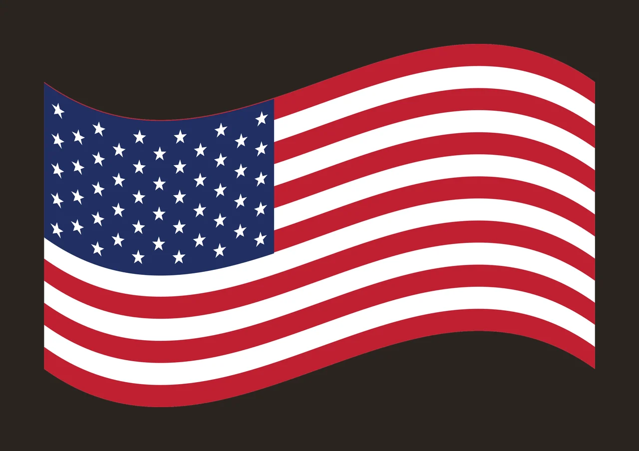 Flag Wavy Silhouette Shape waving black banner 1 2 F16 usa 2024 heart contrast preview thumbnail