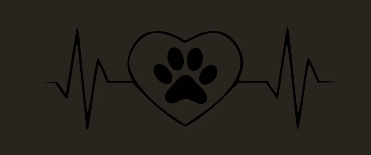 Heart-shaped paw print on heartbeat line Illustration with black heartbeat line, white heart outline and black paw print inside heart contrast preview thumbnail