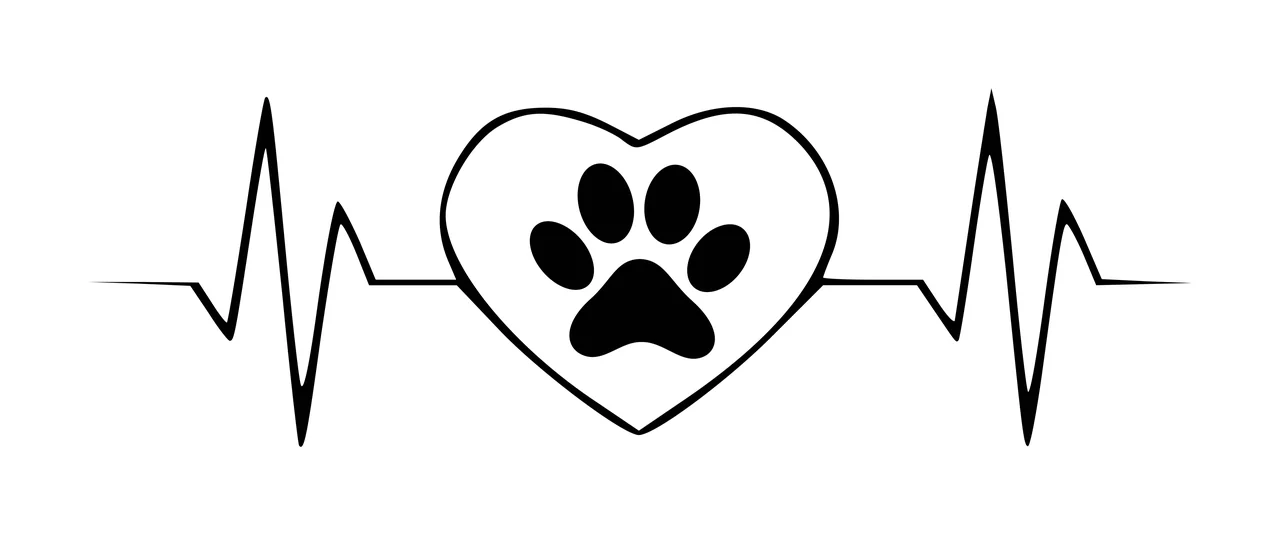 Heart-shaped paw print on heartbeat line Illustration with black heartbeat line, white heart outline and black paw print inside heart