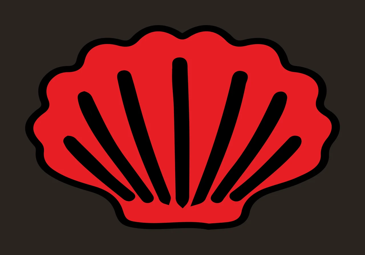Seashell Illustration with scallop shell, black outline and radiating lines in red and white contrast preview thumbnail