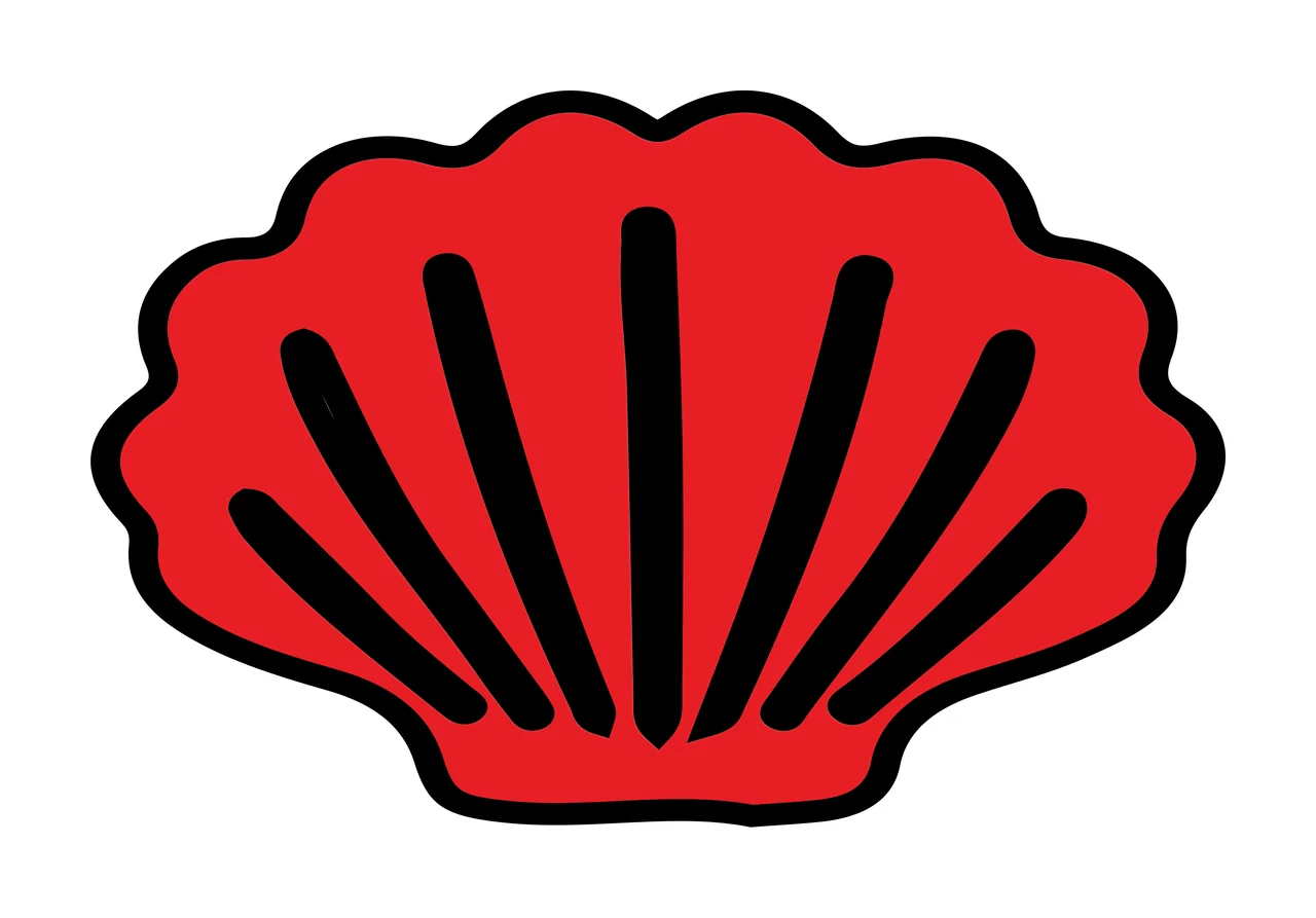 Seashell Illustration with scallop shell, black outline and radiating lines in red and white