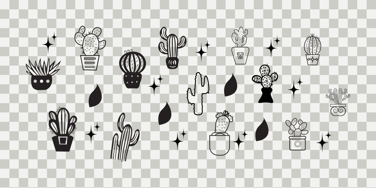 Can Glass Wrap Cactus Collection With Stars cacti leaves pots transparency and detail preview thumbnail