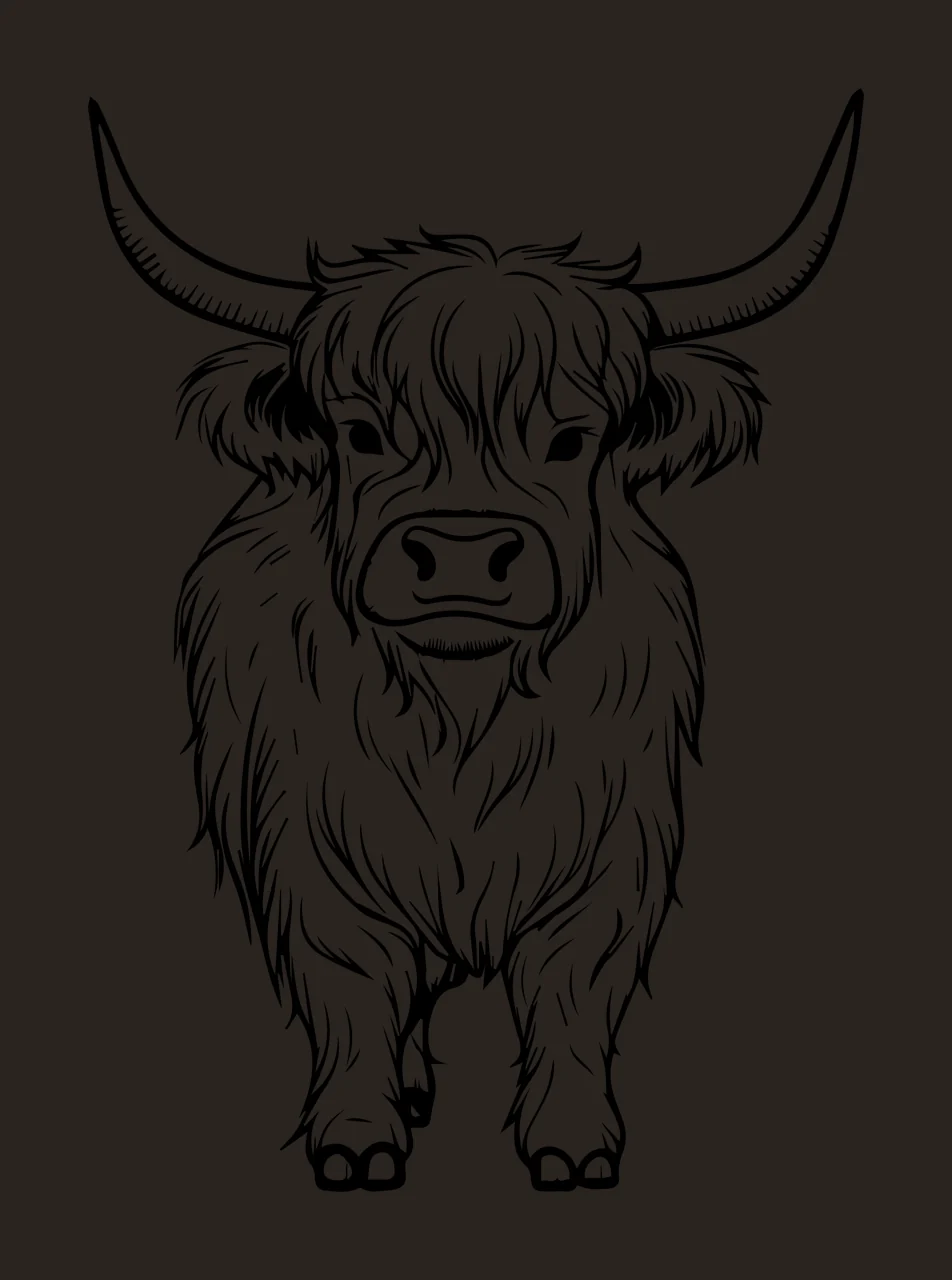 Cow Highland Line Drawing standing horns black white animal contrast preview thumbnail