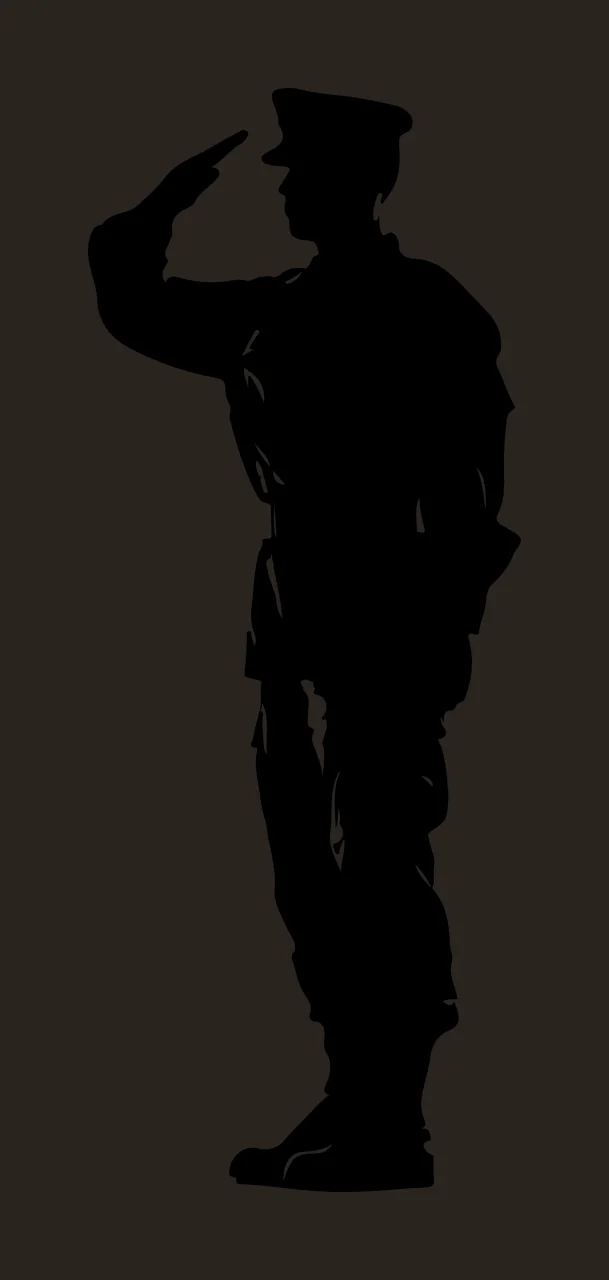 Soldier Silhouette In Military Uniform Standing A Salute saluting contrast preview thumbnail