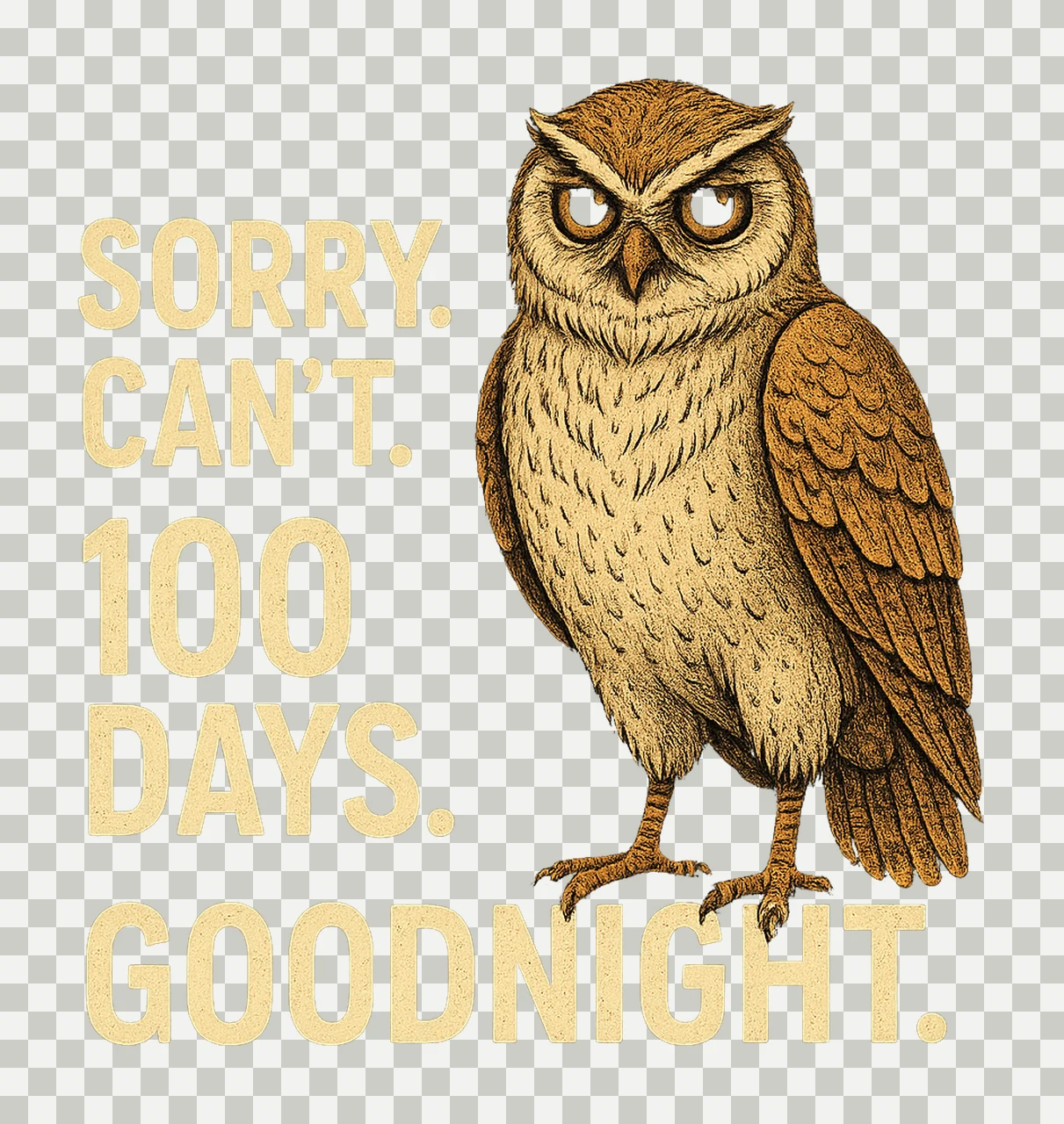Funny Owl Gamer Sorry Can 99 Nights Bye Cute Introvert transparency and detail preview thumbnail