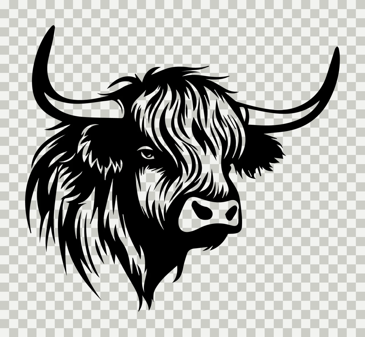 Highland Cattle Bull Head Profile viewing horns hair ears muzzle transparency and detail preview thumbnail
